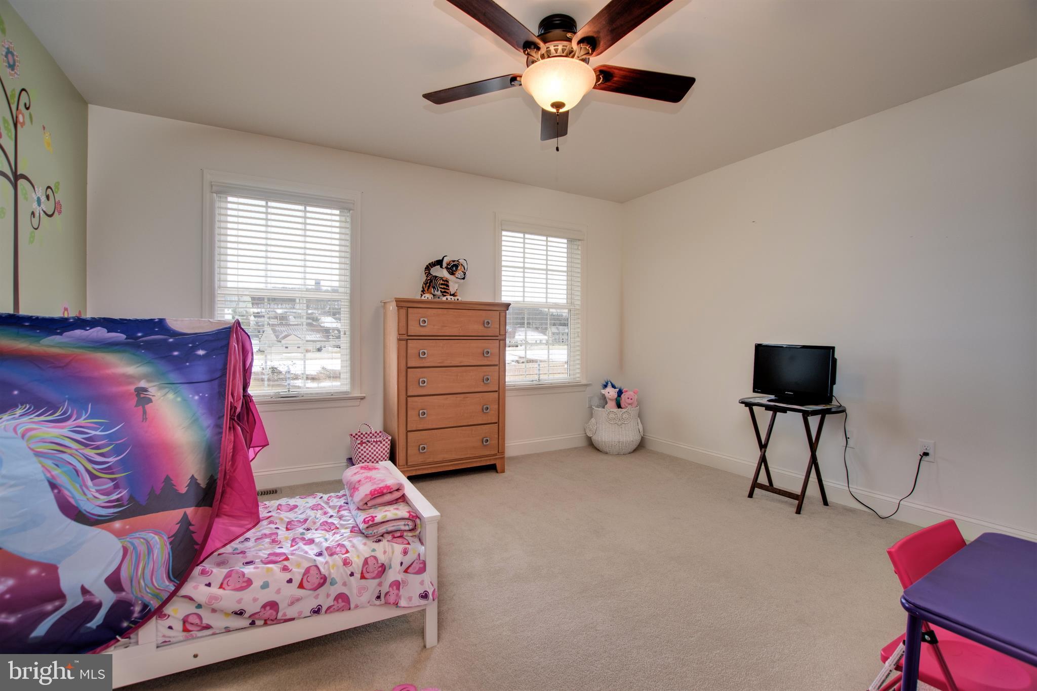 2262 Friesian Road York, PA 17406 - Photo 21 of 34 Gallery Image 21