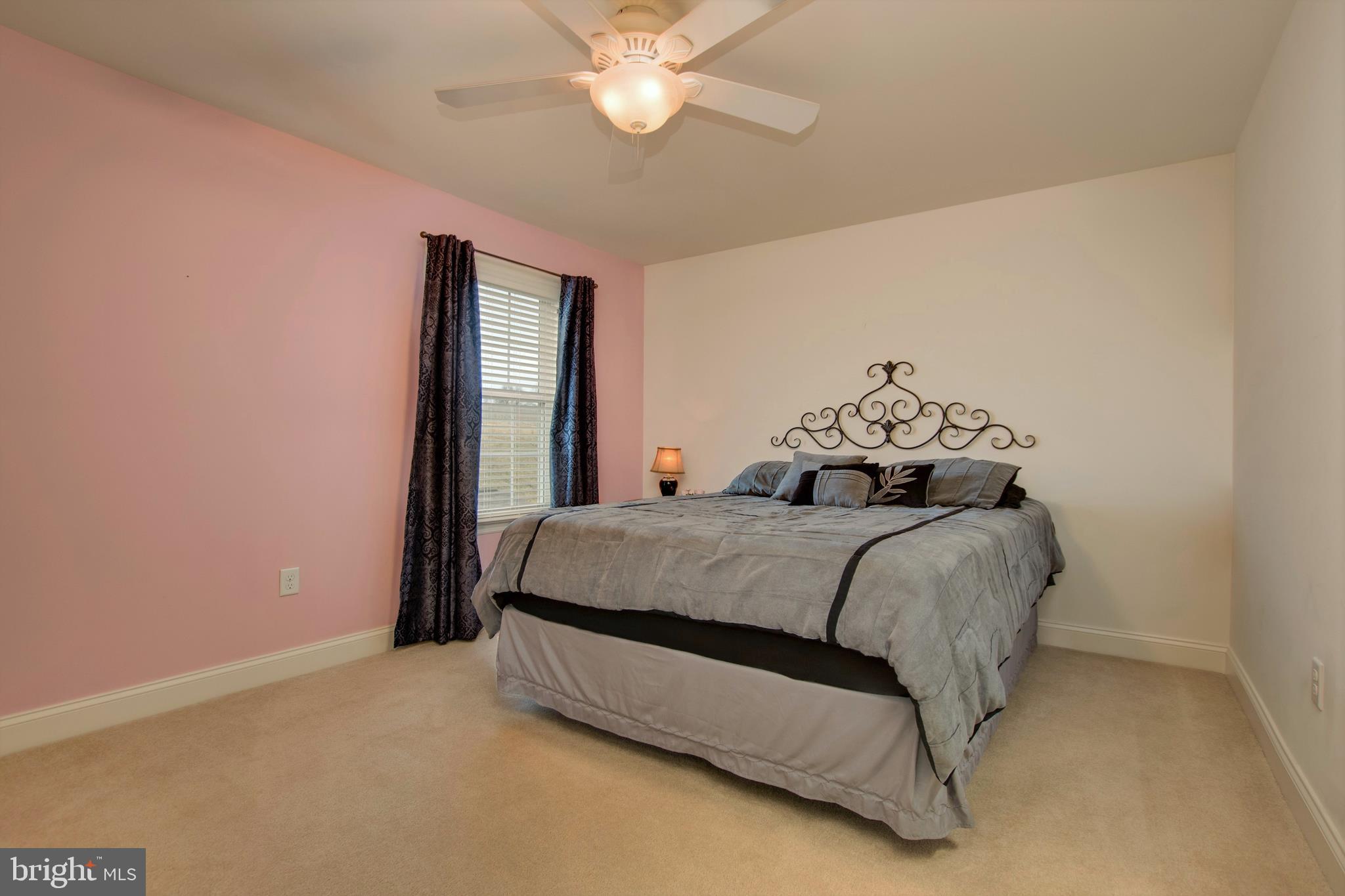 2262 Friesian Road York, PA 17406 - Photo 22 of 34 Gallery Image 22