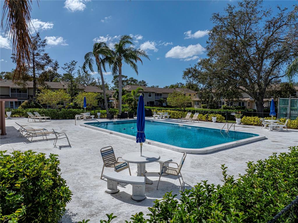 9700 Starkey Road, Unit 312 Seminole, FL 33777 - Photo 42 of 44