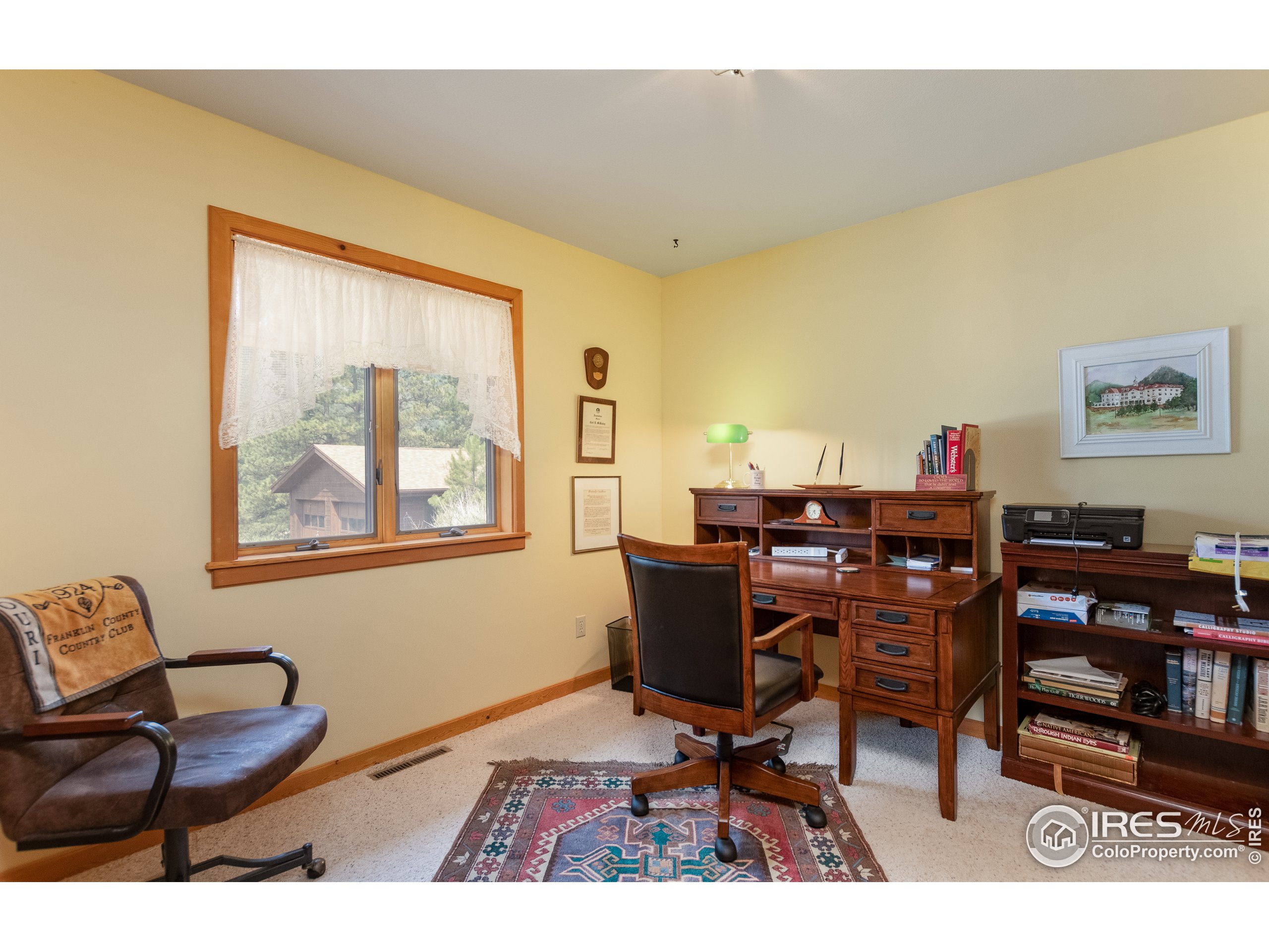 318 Dunraven Glade Road Drake, CO 80515 - Photo 19 of 38