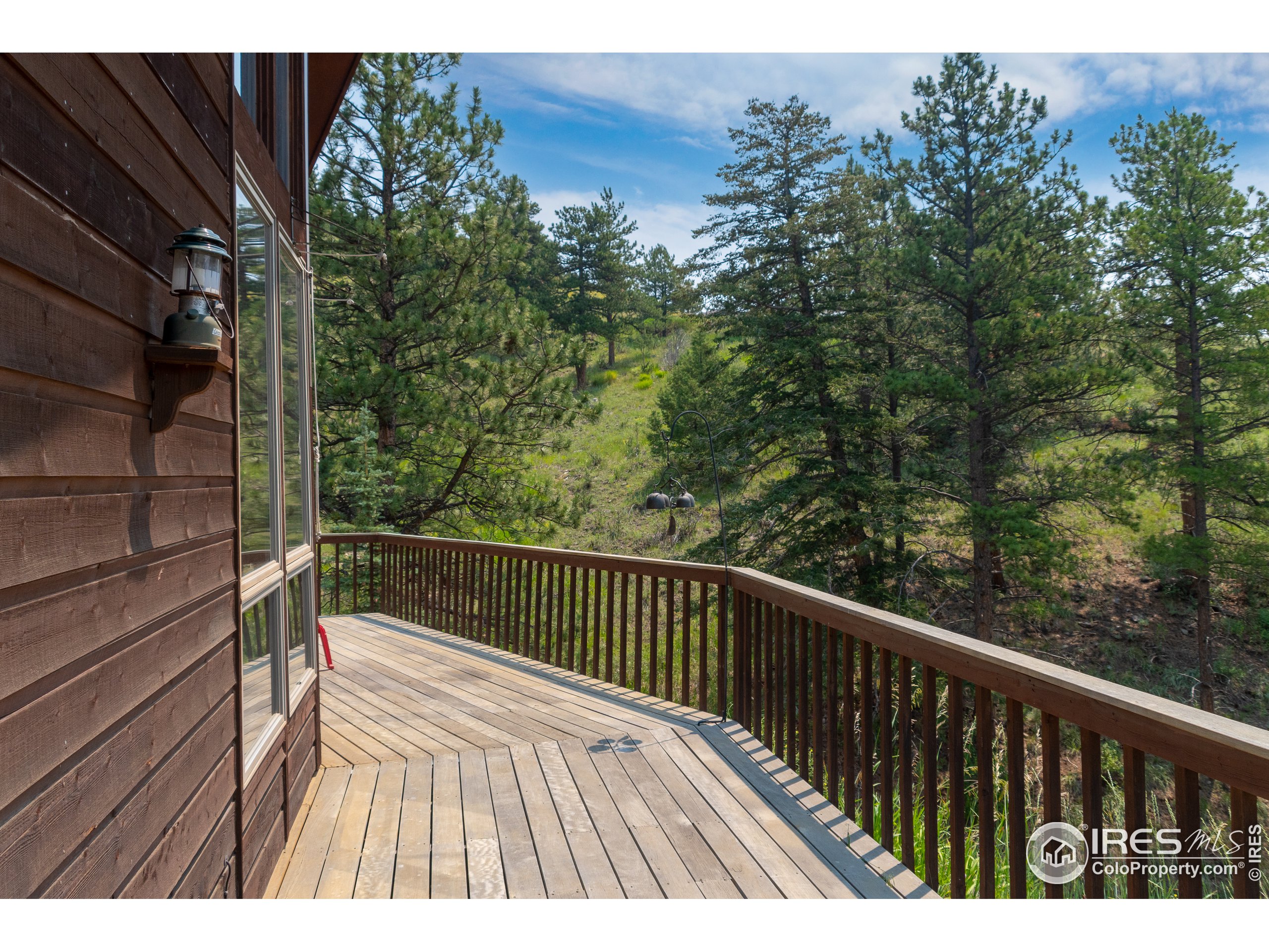 318 Dunraven Glade Road Drake, CO 80515 - Photo 36 of 38