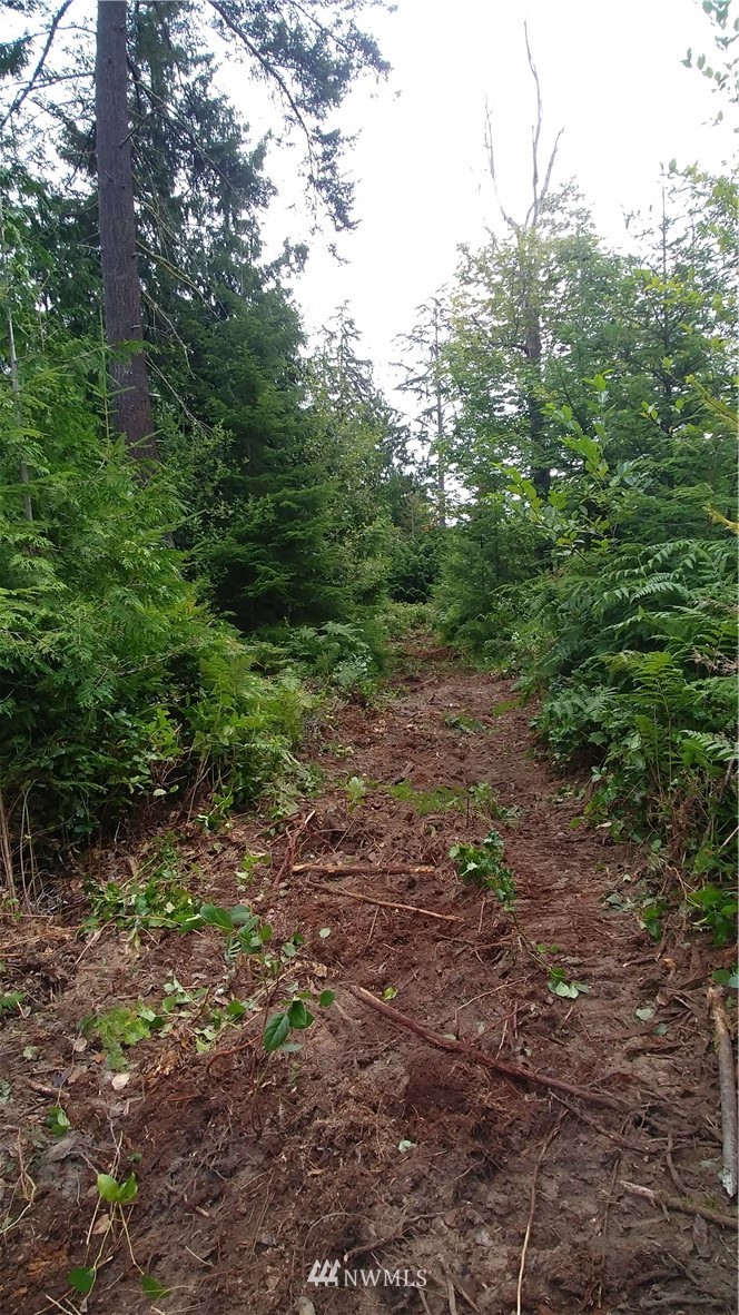 2 Gasman Road Port Angeles, WA 98362 - Photo 2 of 3