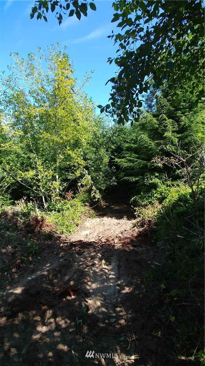 2 Gasman Road Port Angeles, WA 98362 - Photo 3 of 3