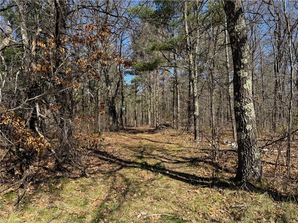 Lot 1 Gurno Lake Road Hayward, WI 54843 - Photo 21 of 32