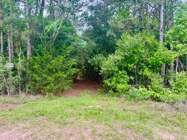 $301,615 | 1375 County Road 1375, Warren, TX 77664