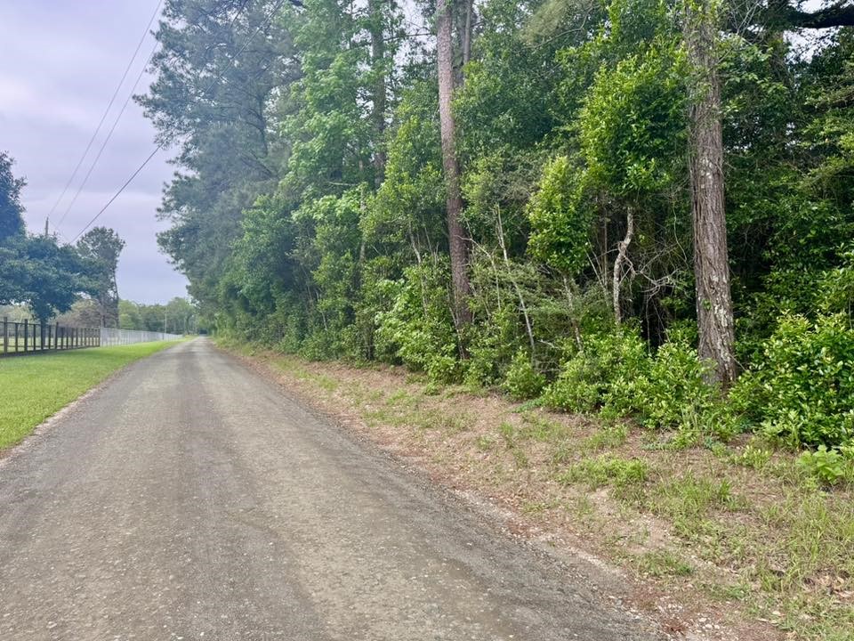 1375 County Road 1375 Warren, TX 77664 - Photo 18 of 18 a view of a street view with a yard