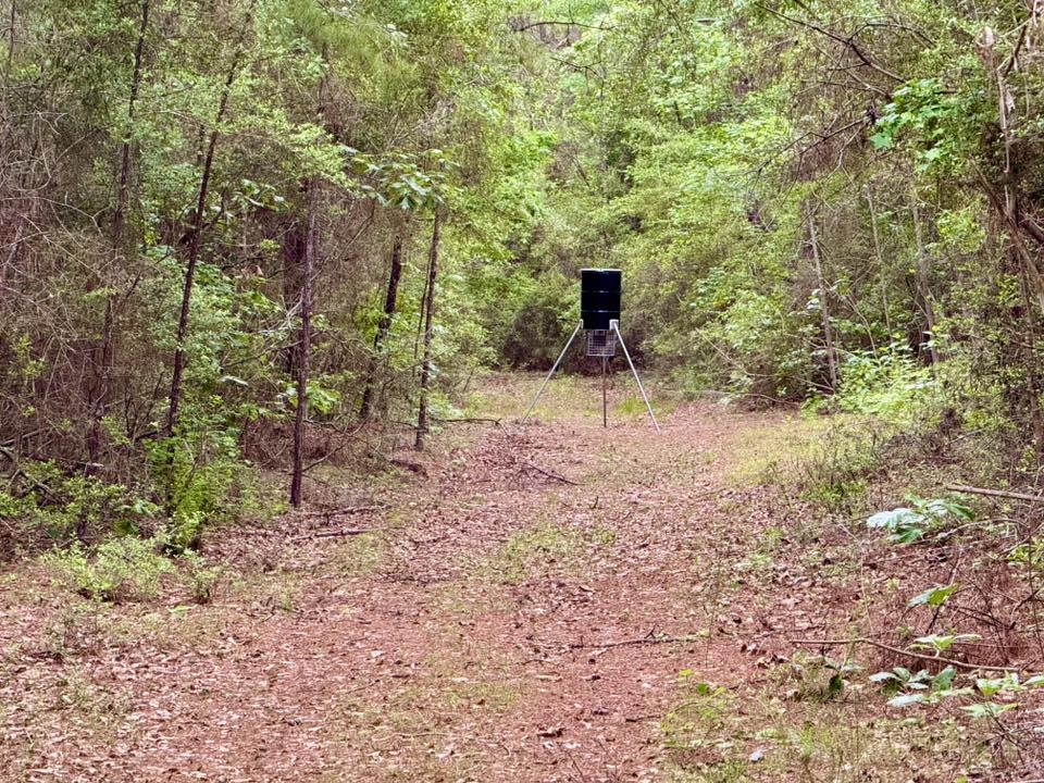 1375 County Road 1375 Warren, TX 77664 - Photo 4 of 18 a view of a outdoor space