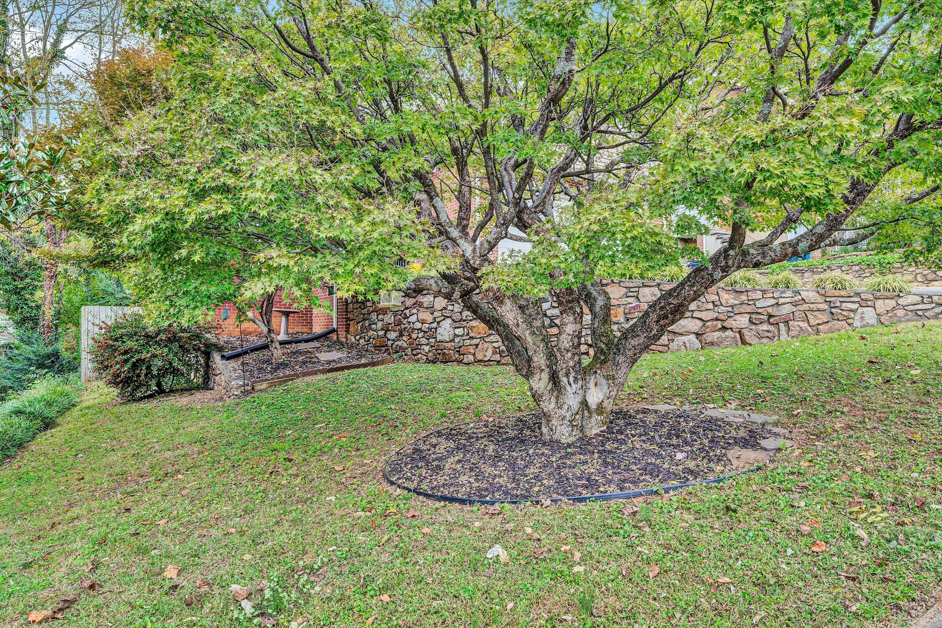 1921 Sheffield Road Southwest Roanoke, VA 24015 - Photo 32 of 33 33-DSC00343