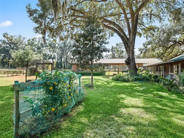 a view of house with a yard