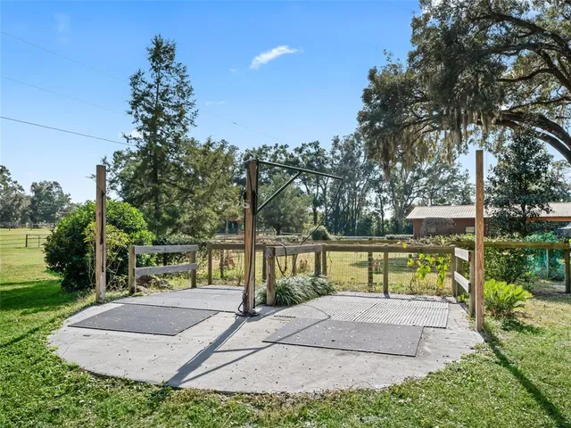 a view of a trees in a park