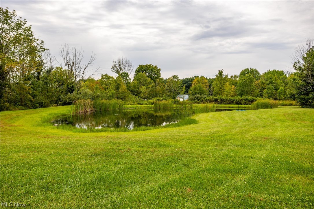 10965 Crawford Road Homerville, OH 44235 - Photo 29 of 35 View of yard