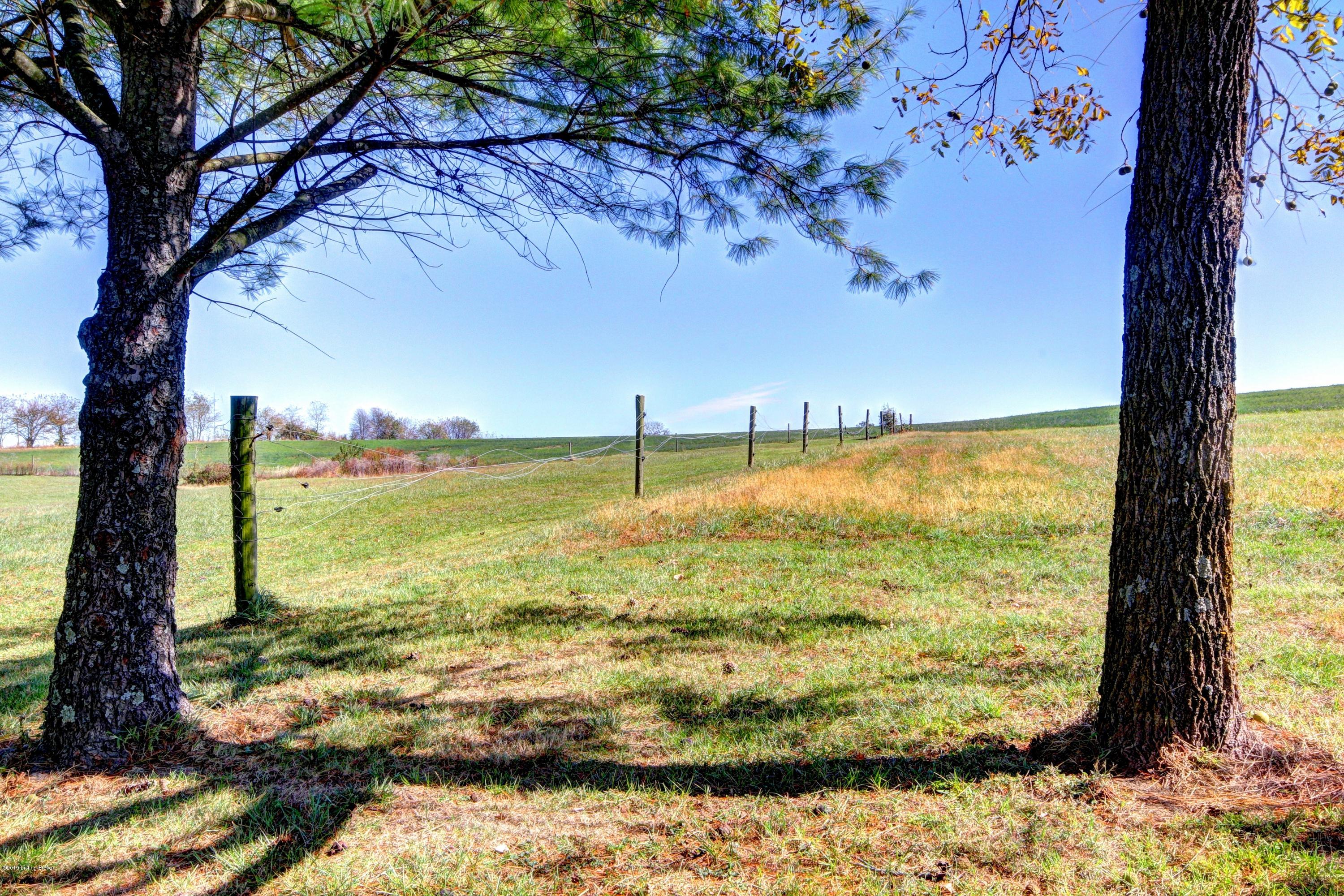 876 Eminence Road Eminence, KY 40019 - Photo 77 of 93 Back corner view of Miles of Farmland