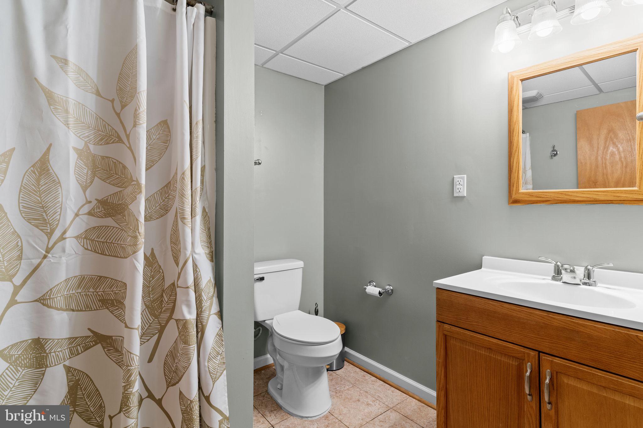 1000 High Knob Road Front Royal, VA 22630 - Photo 21 of 30 Lower Level Full Bath