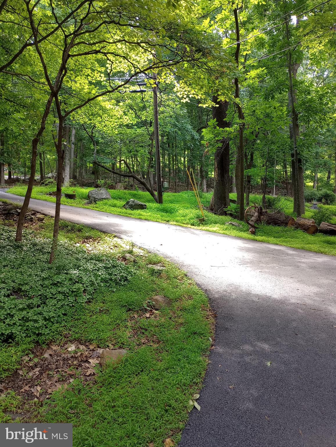 1000 High Knob Road Front Royal, VA 22630 - Photo 25 of 30 Paved Driveway