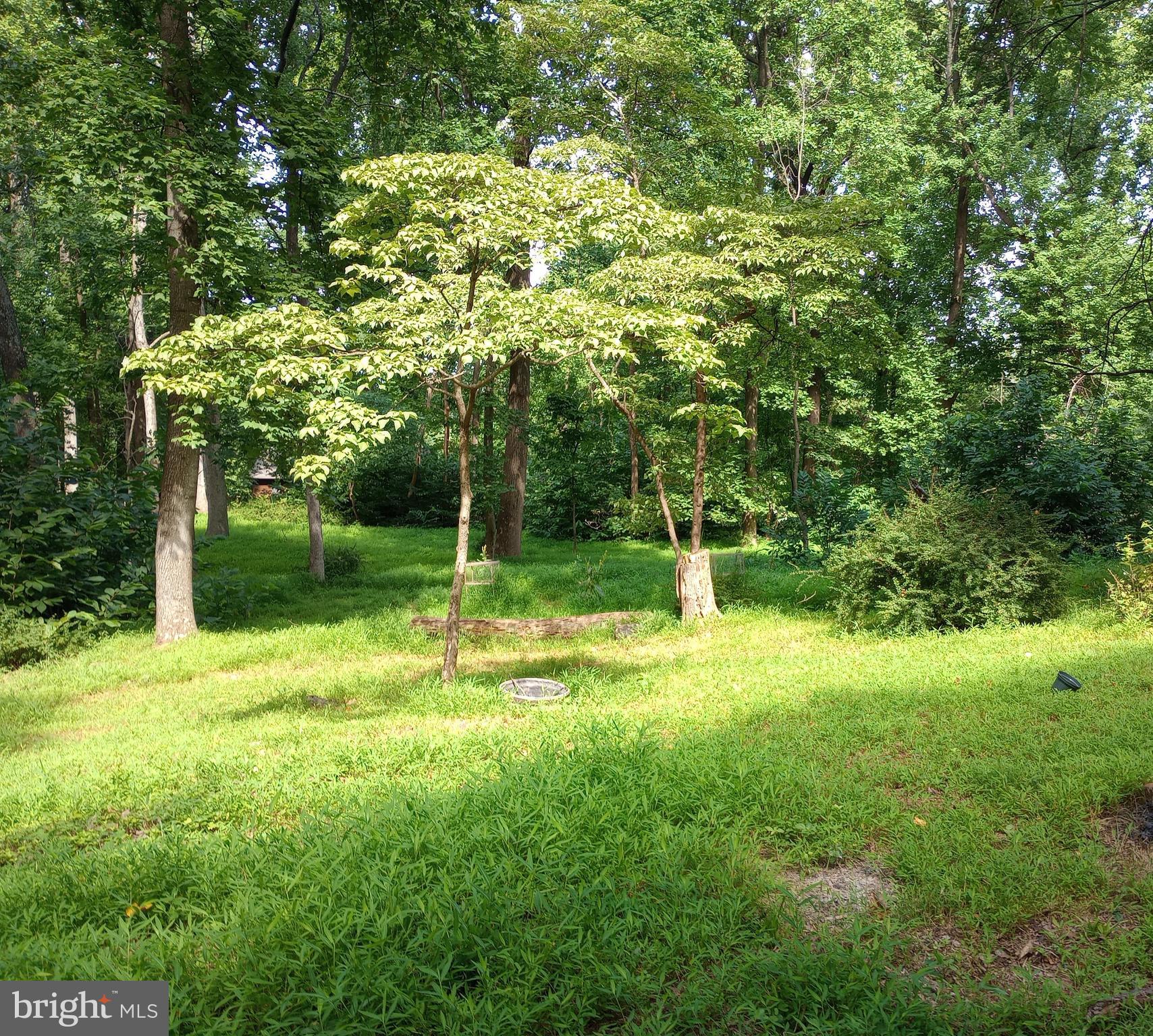 1000 High Knob Road Front Royal, VA 22630 - Photo 27 of 30