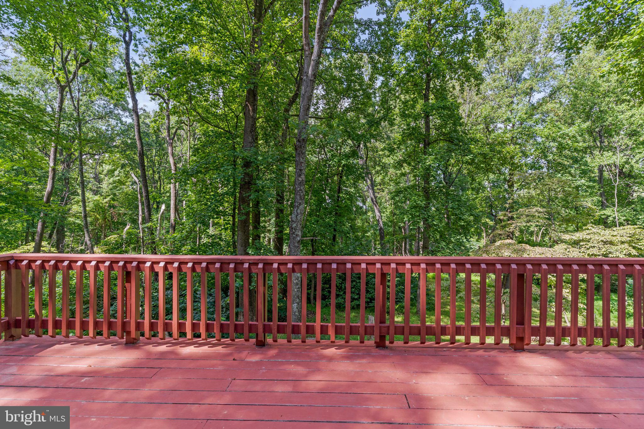 1000 High Knob Road Front Royal, VA 22630 - Photo 5 of 30