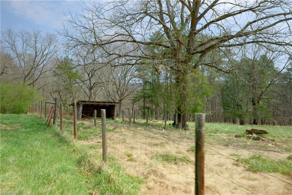 1019 George Road Westfield, NC 27053 - Photo 13 of 28