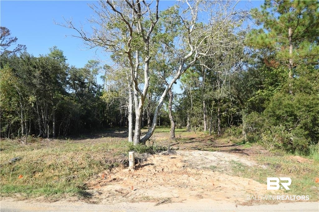 0 Shell Belt Road Mobile, AL 36603 - Photo 6 of 11