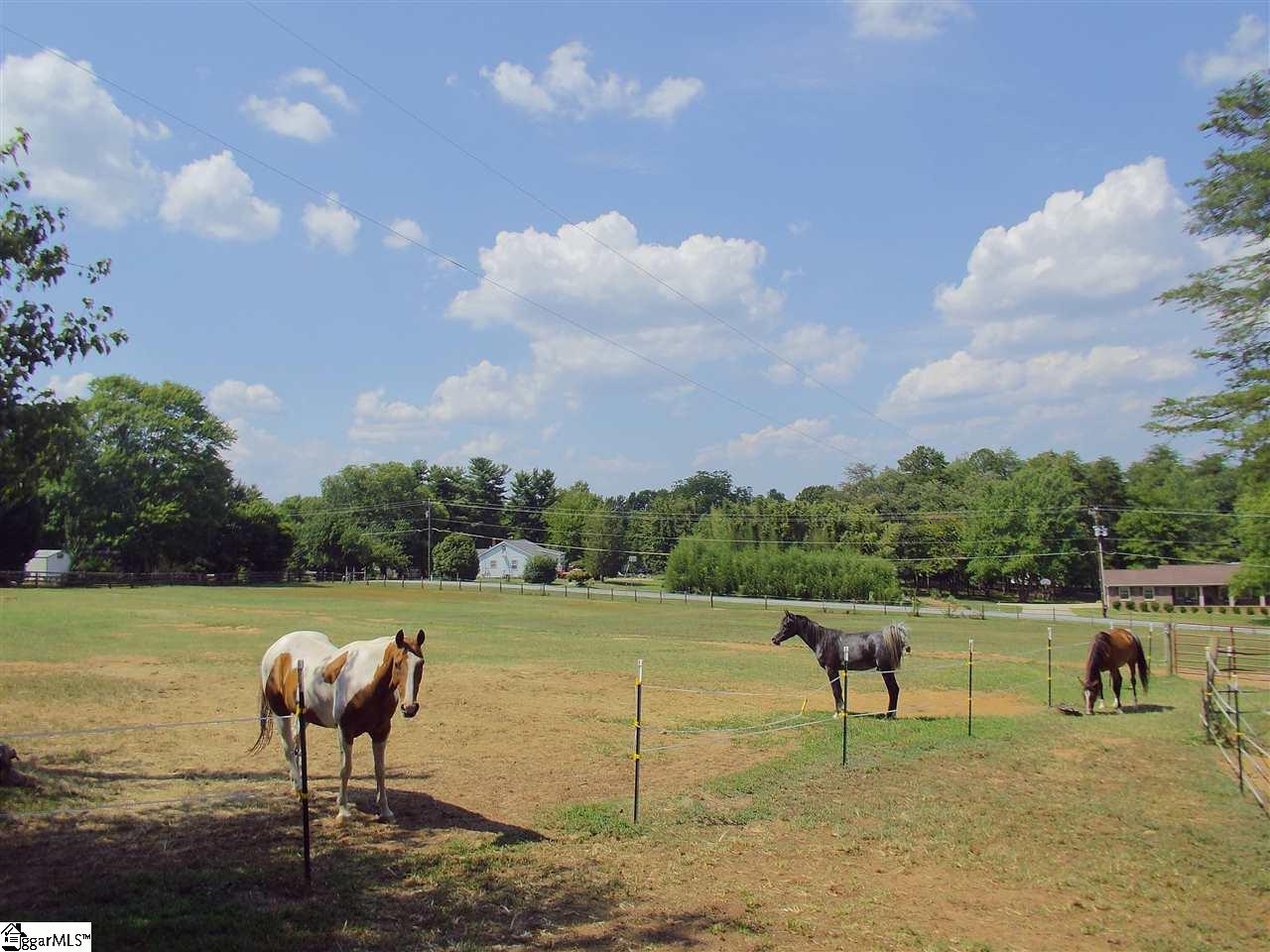 16 Fallout Shelter Road Travelers Rest, SC 29690 - Photo 25 of 30 Gallery Image 25