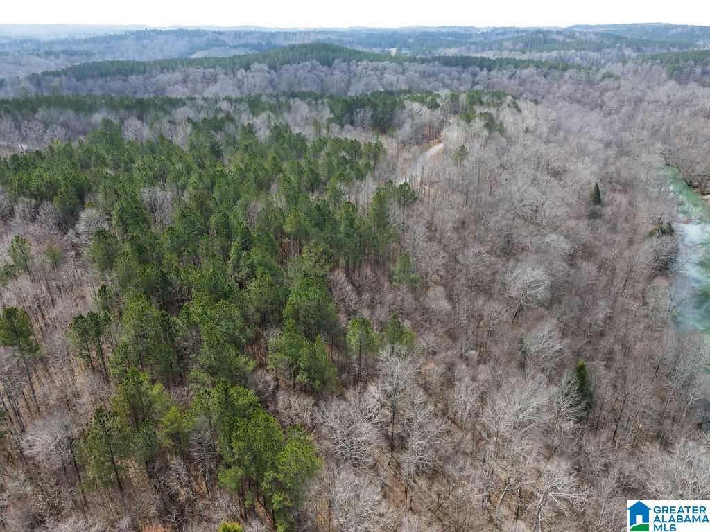 Lot #8 Turkey Bend Drive, Unit 8 Addison, AL 35540 - Photo 11 of 13