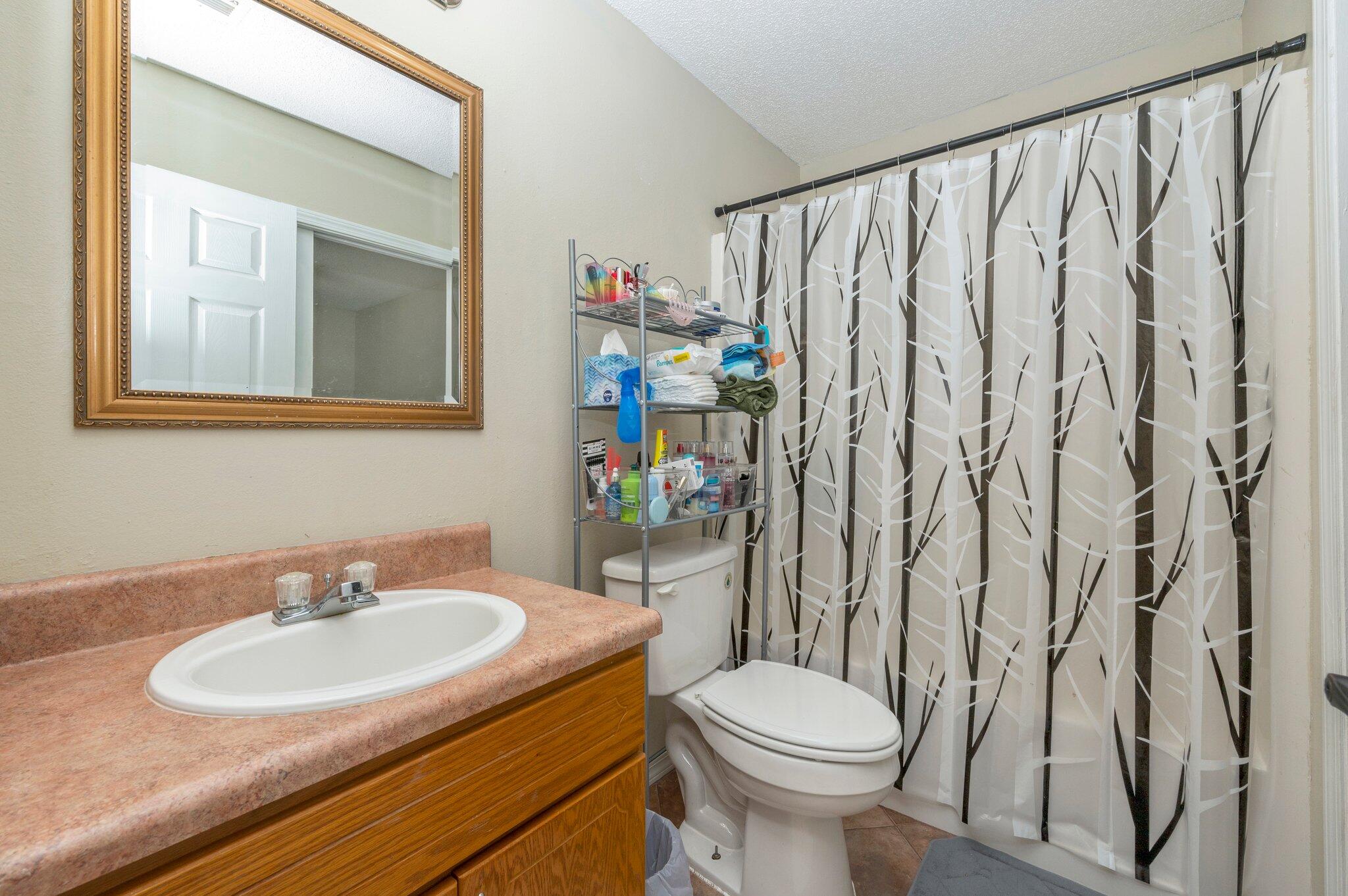 384 John King Road Crestview, FL 32539 - Photo 18 of 19 a bathroom with a sink a toilet and a mirror