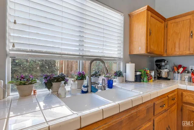 a kitchen with a stove a sink and a potted plant