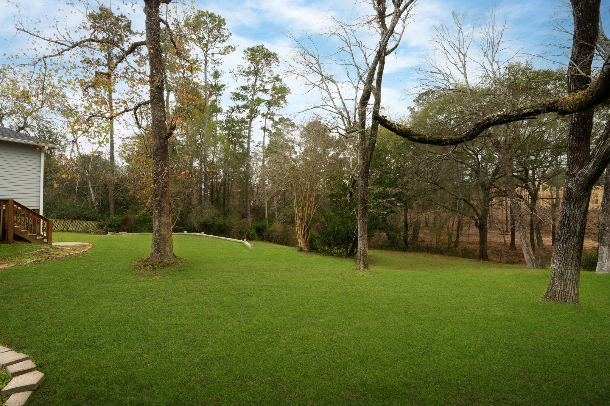 11706 Bogs Court Tomball, TX 77375 - Photo 26 of 42 a backyard of a house with lots of green space