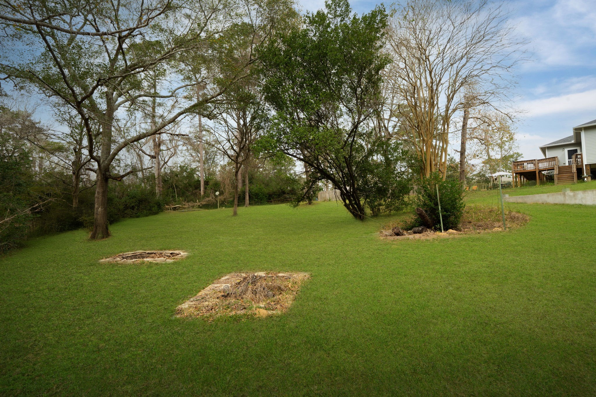 11706 Bogs Court Tomball, TX 77375 - Photo 33 of 42 a view of a park with large trees