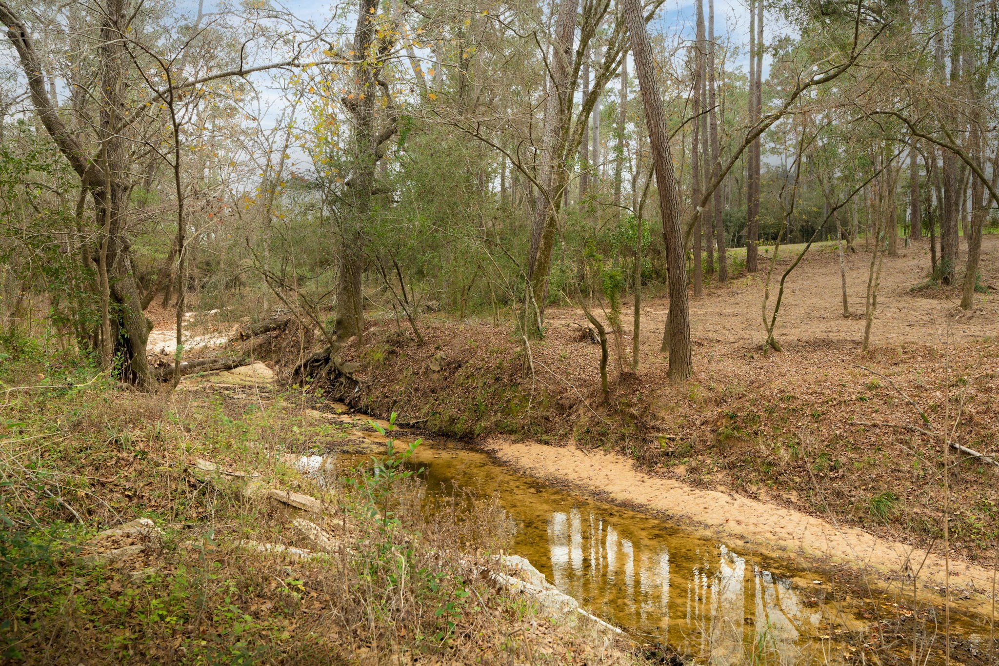 11706 Bogs Court Tomball, TX 77375 - Photo 40 of 42 a view of backyard with green space