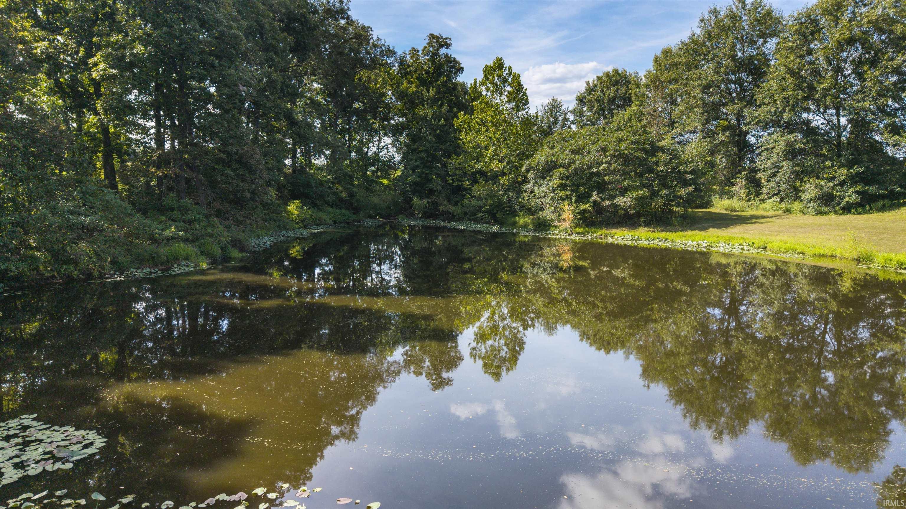 12555 Selvin Road Dale, IN 47523 - Photo 6 of 36