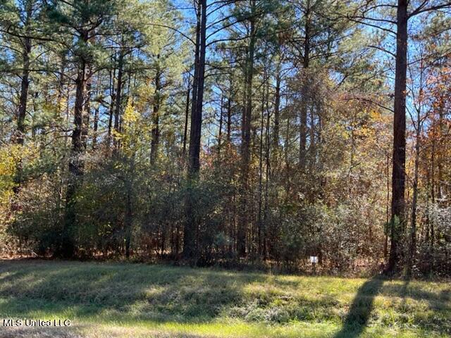 5413 Williamson Road Clinton, MS 39056 - Photo 1 of 1 Exterior