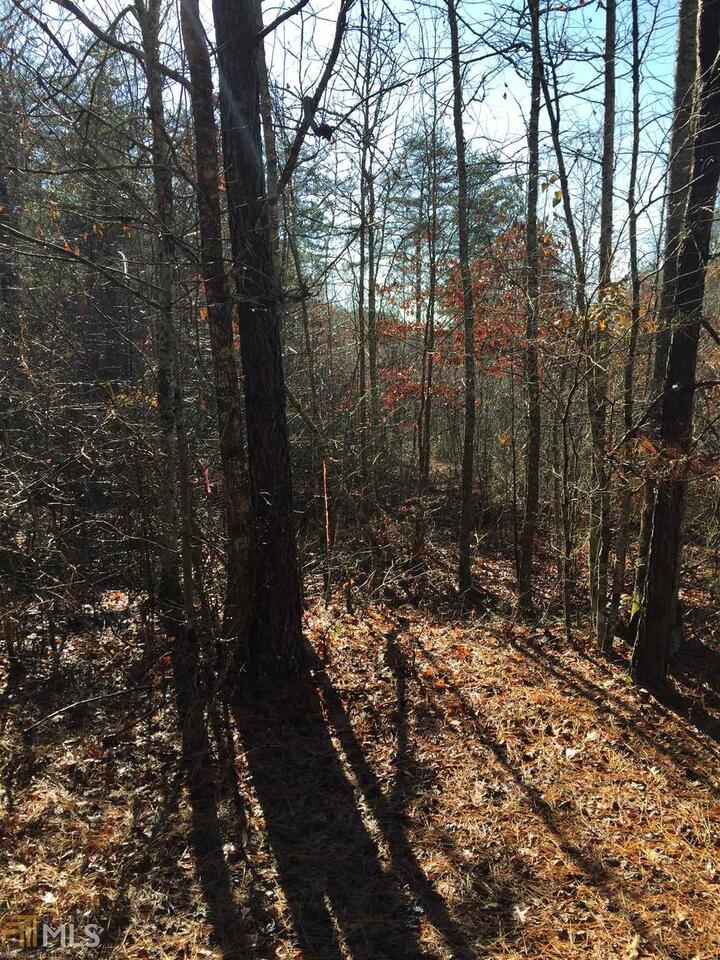 0 County Rd 40 Fruithurst, AL 36262 - Photo 1 of 1