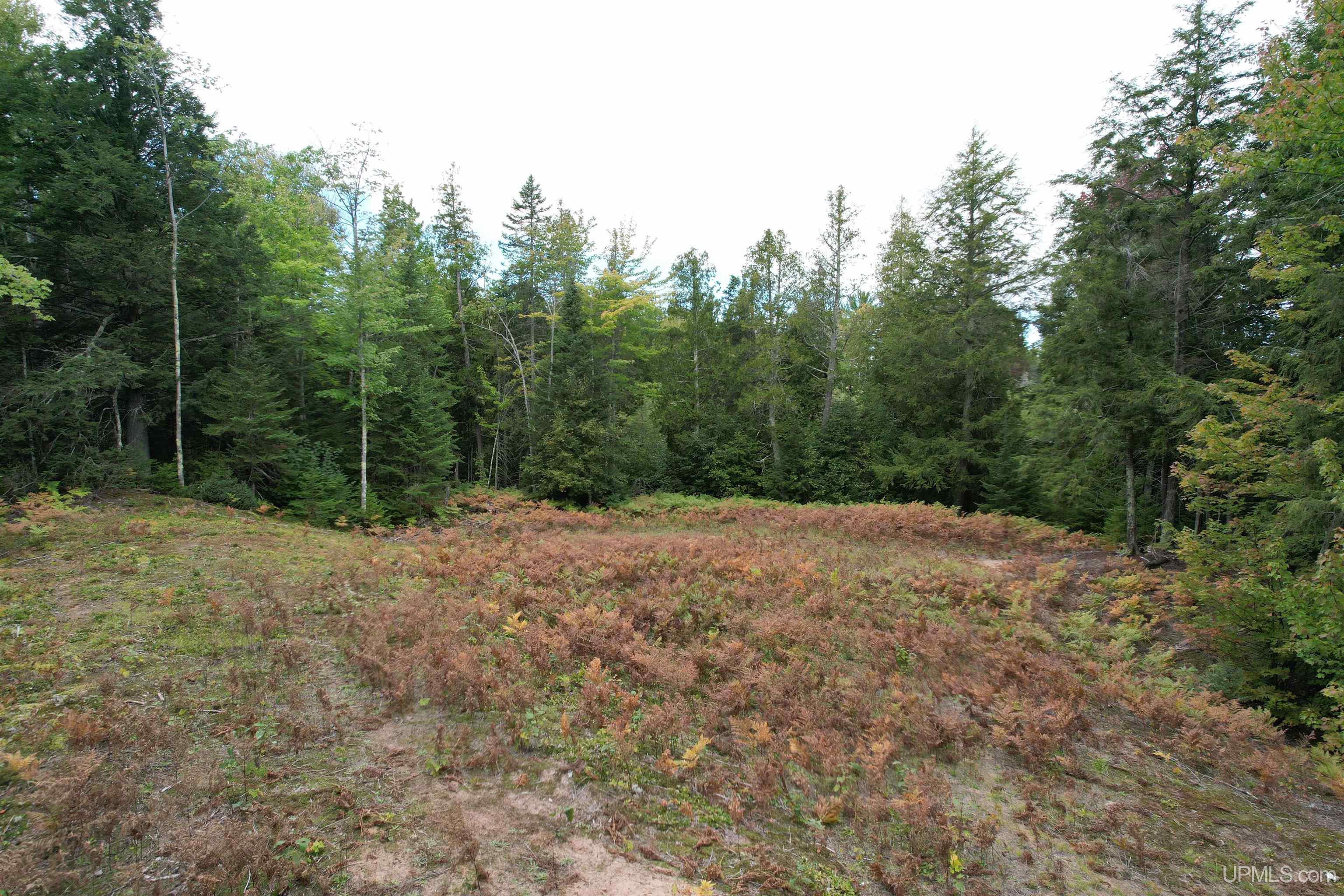 Tbd Evergreen Road Toivola, MI 49965 - Photo 44 of 62