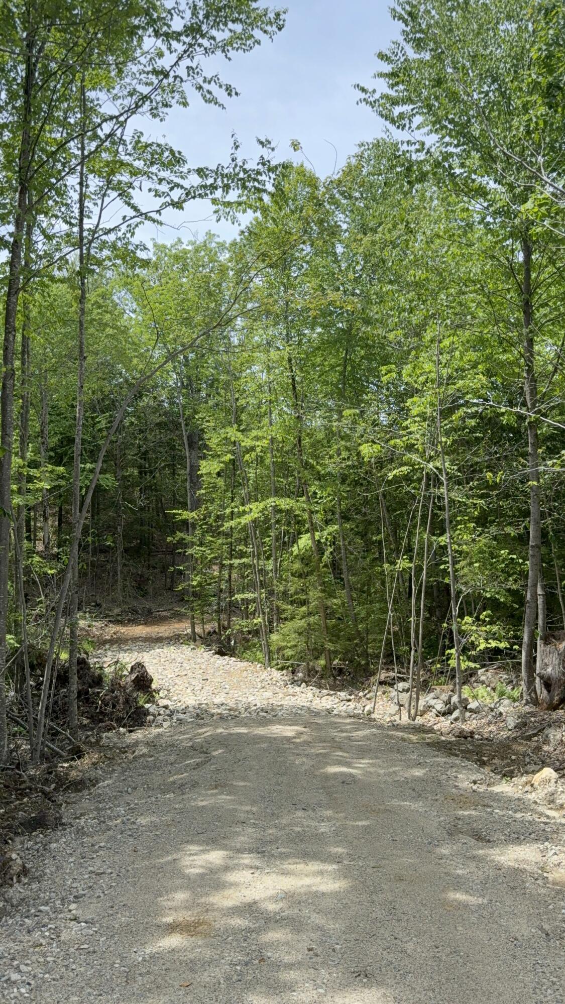 Lot 12 Deering Ridge Road Shapleigh, ME 04076 - Photo 3 of 3 deering ridge photo 3