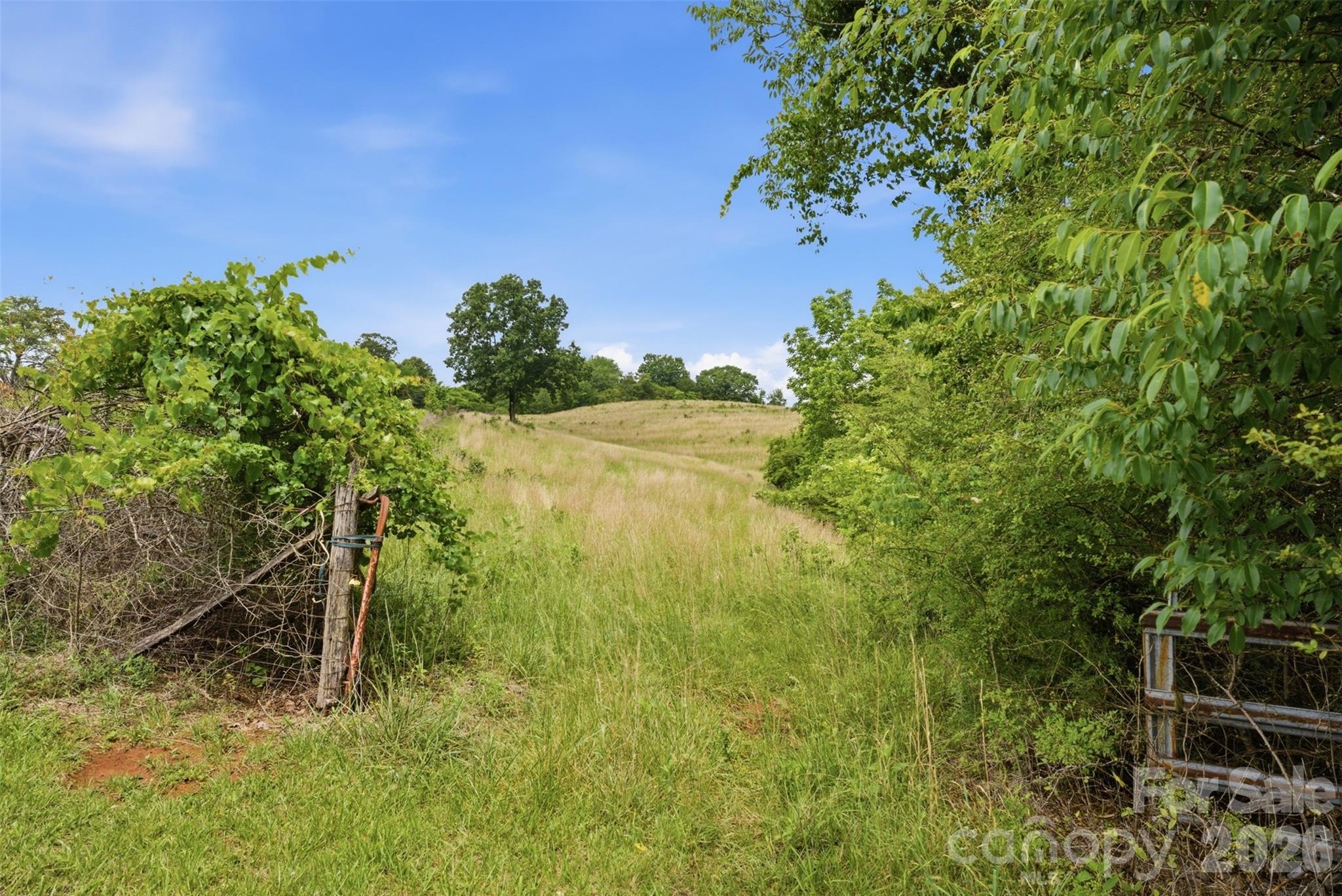 536 Pea Ridge Road Mill Spring, NC 28756 - Photo 8 of 9