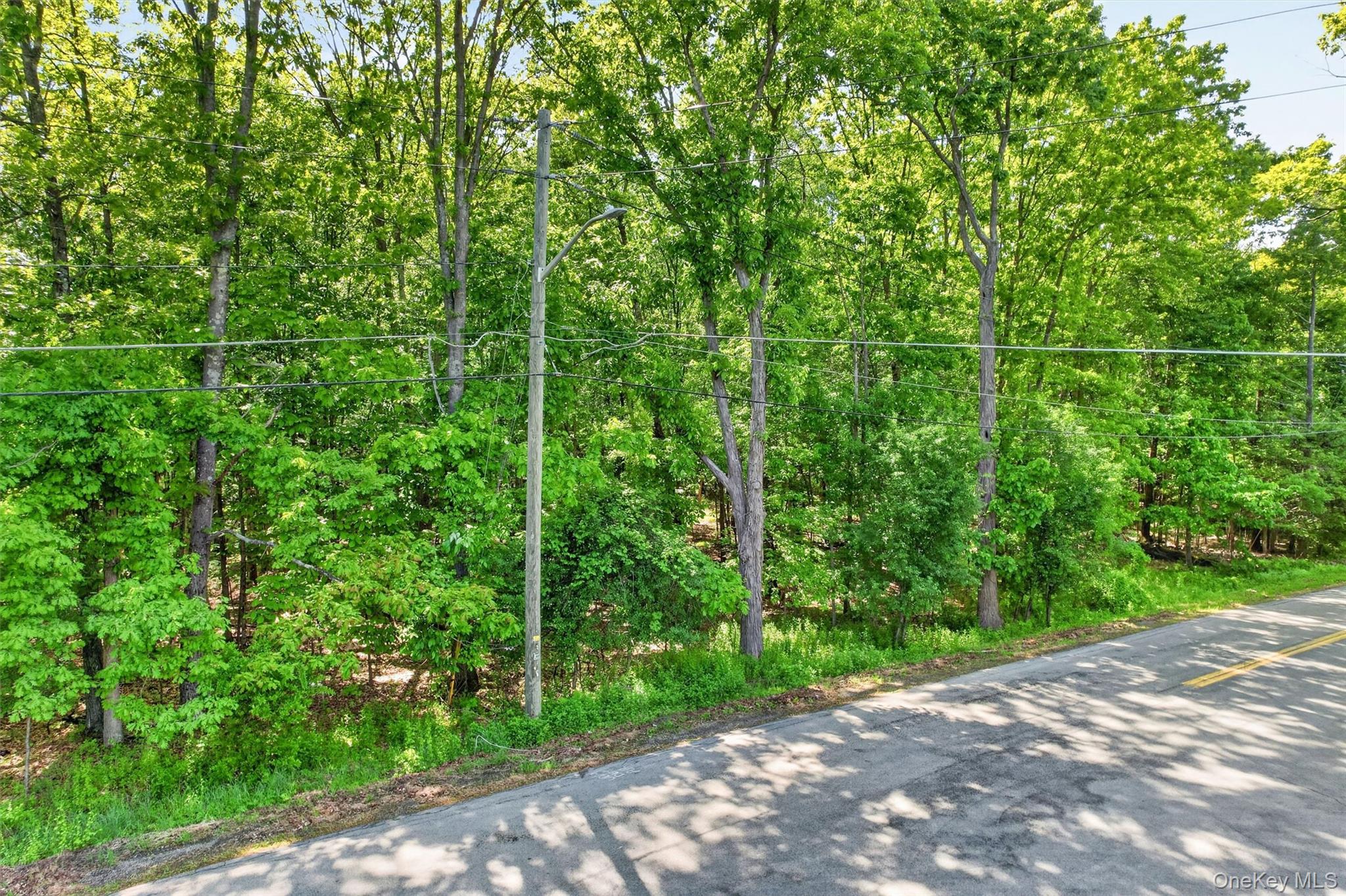 Dosen Road Middletown, NY 10940 - Photo 2 of 5