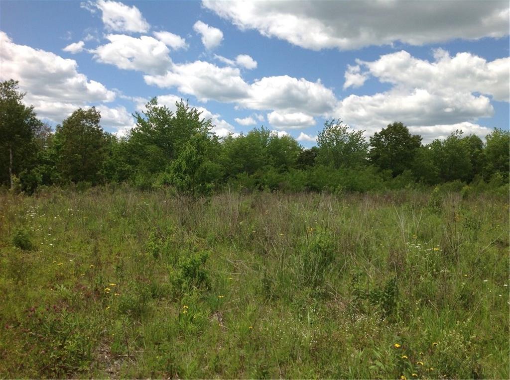 Lot 7 Ryan Road Belfast, ME 04915 - Photo 1 of 4 Photo