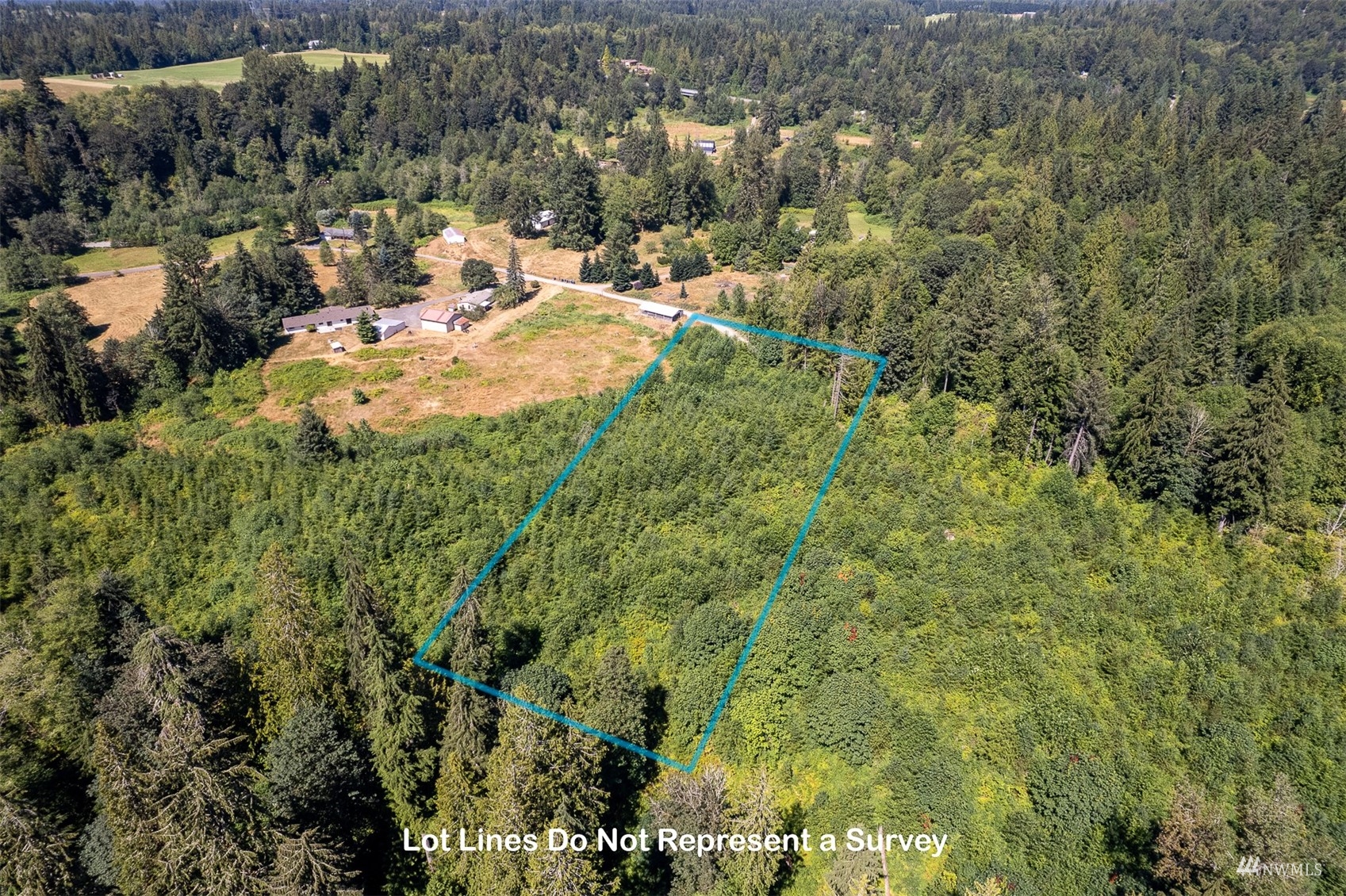 7-tract Whites Road Arlington, WA 98223 - Photo 12 of 15 a view of a forest with a houses