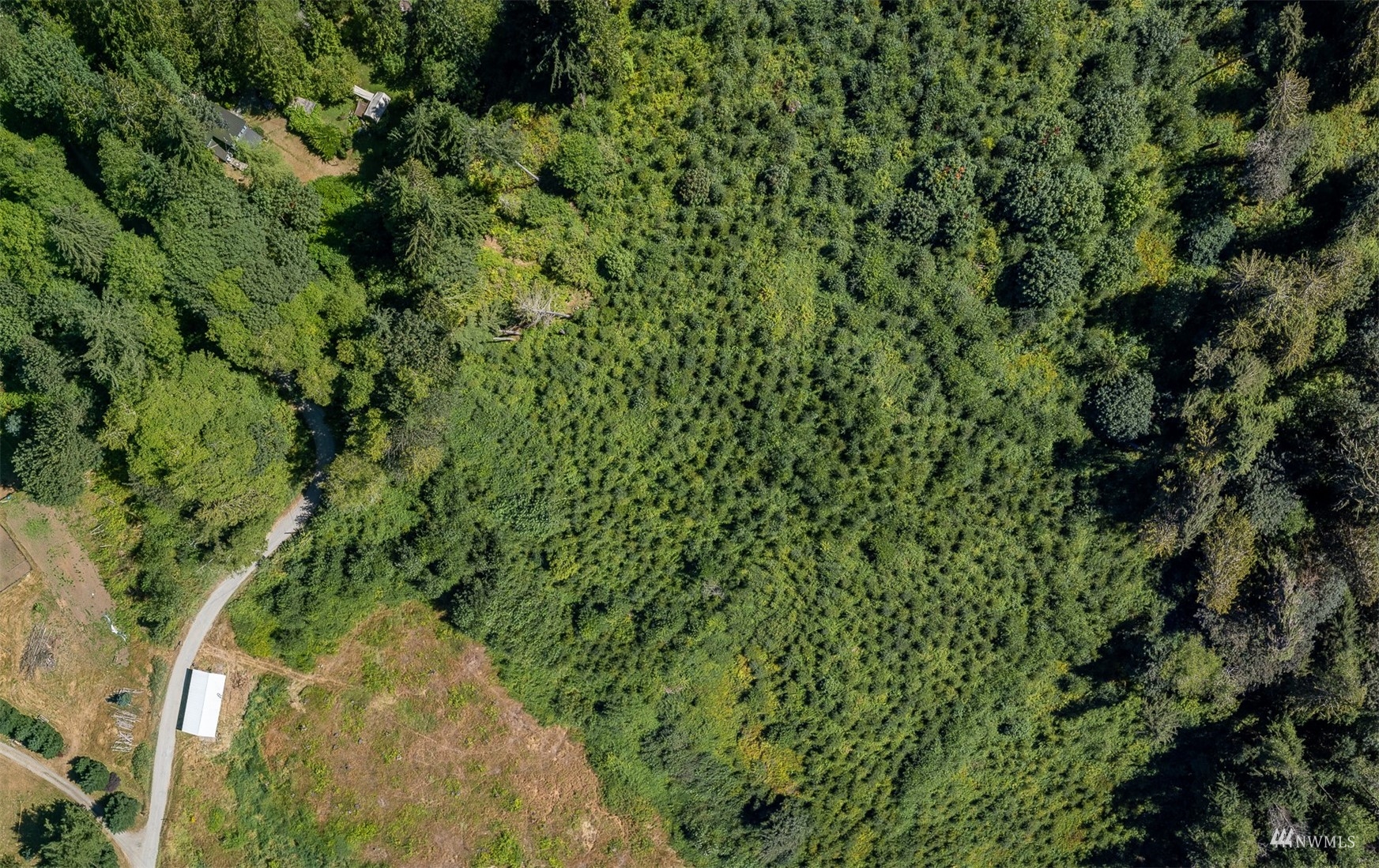 7-tract Whites Road Arlington, WA 98223 - Photo 9 of 15