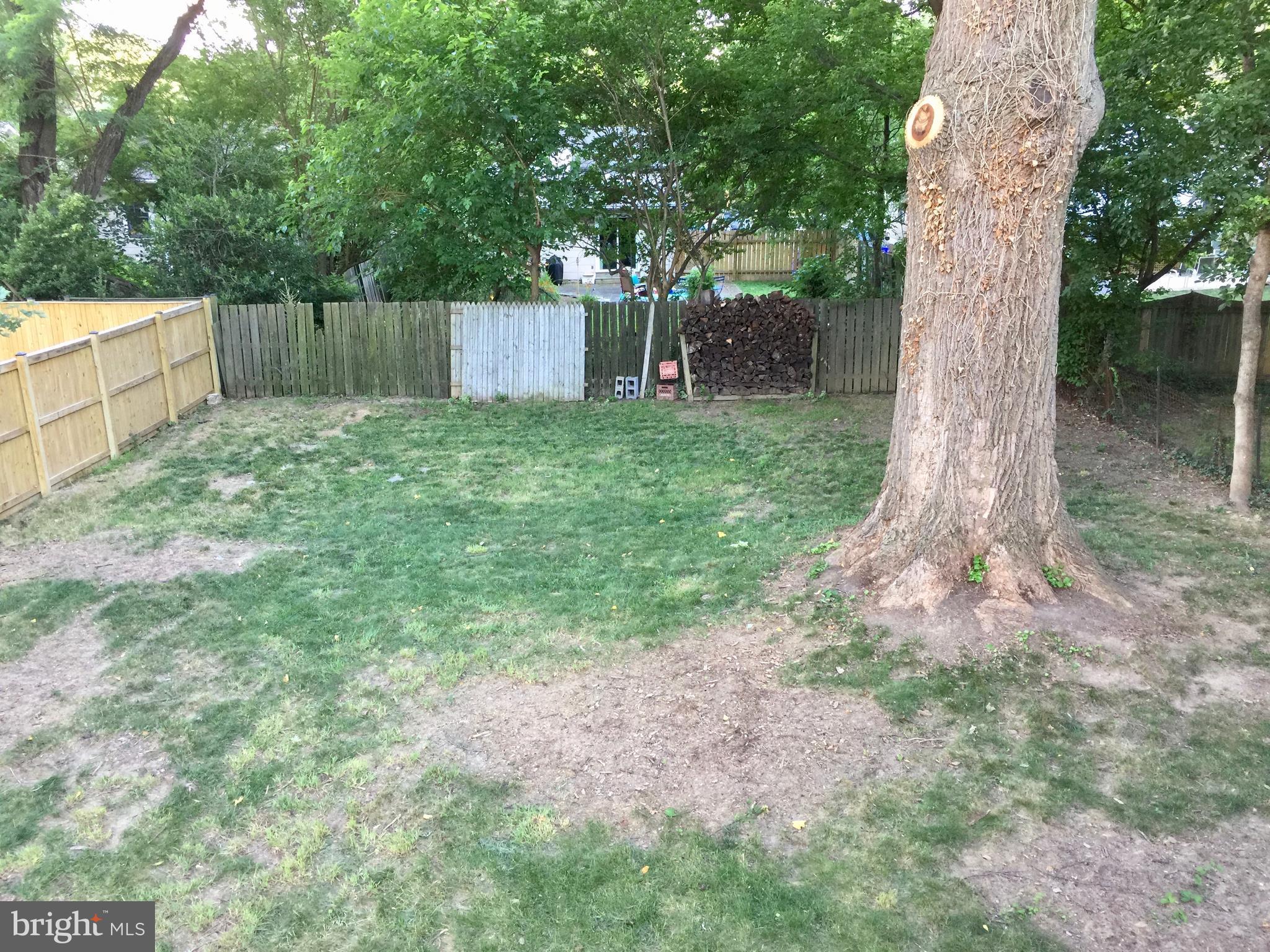 804 Easley Street Silver Spring, MD 20910 - Photo 22 of 22 Large Back Yard