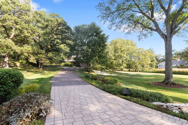 a view of yard with large trees