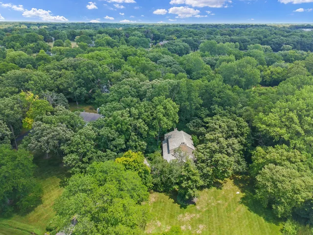 a view of a forest with a street