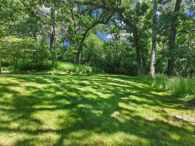 a big yard with lots of green space and trees