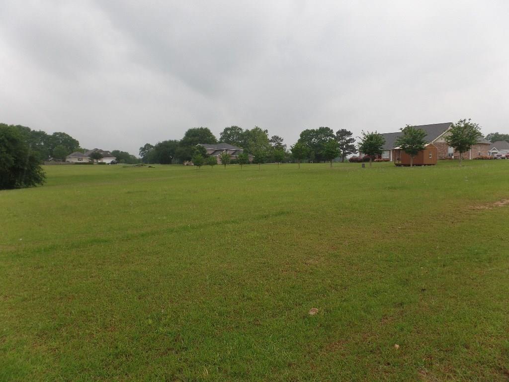 999 Turkey Ridge Road Bush, LA 70431 - Photo 2 of 3