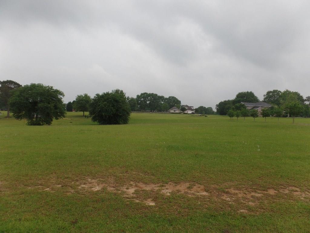 999 Turkey Ridge Road Bush, LA 70431 - Photo 3 of 3