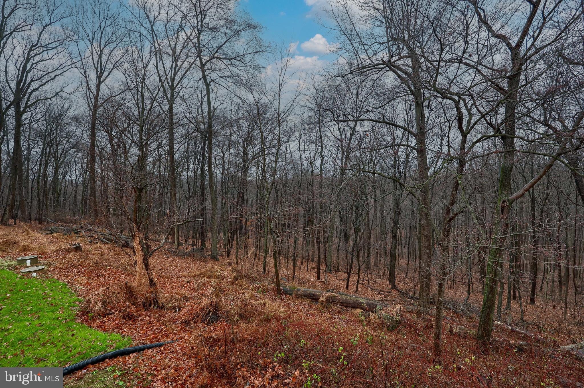 621 River Hill Road Conestoga, PA 17516 - Photo 25 of 27