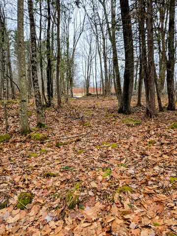 $165,000 | Lot 35 Moose Hill Road, Livermore Falls, ME 04254
