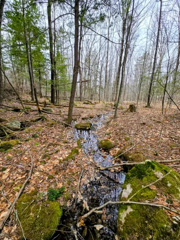 $165,000 | Lot 35 Moose Hill Road, Livermore Falls, ME 04254