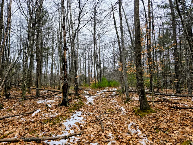 $165,000 | Lot 35 Moose Hill Road, Livermore Falls, ME 04254