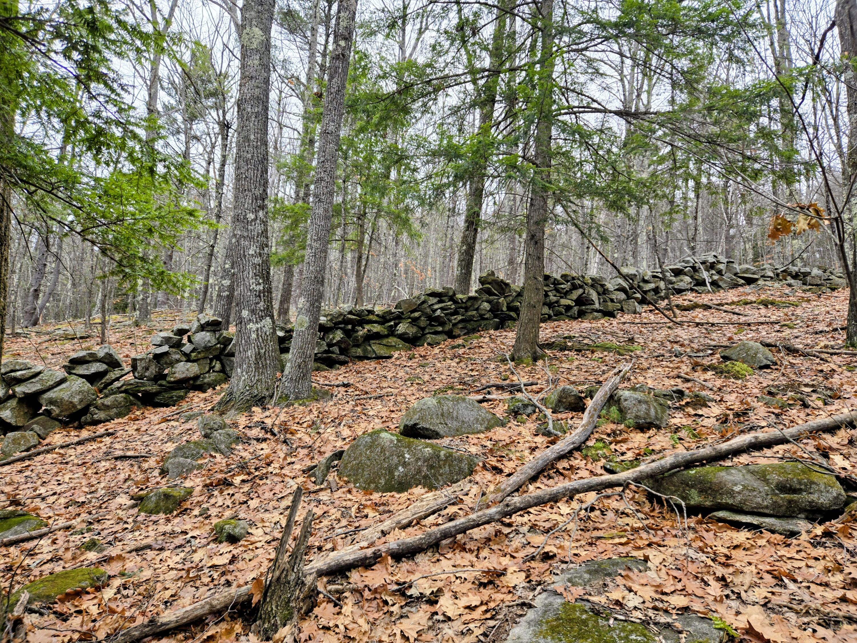 Lot 35 Moose Hill Road Livermore Falls, ME 04254 - Photo 17 of 48 Lot 35 Moose Hill Road